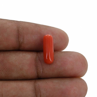 Red Coral (Moonga) - 4.18 Carat