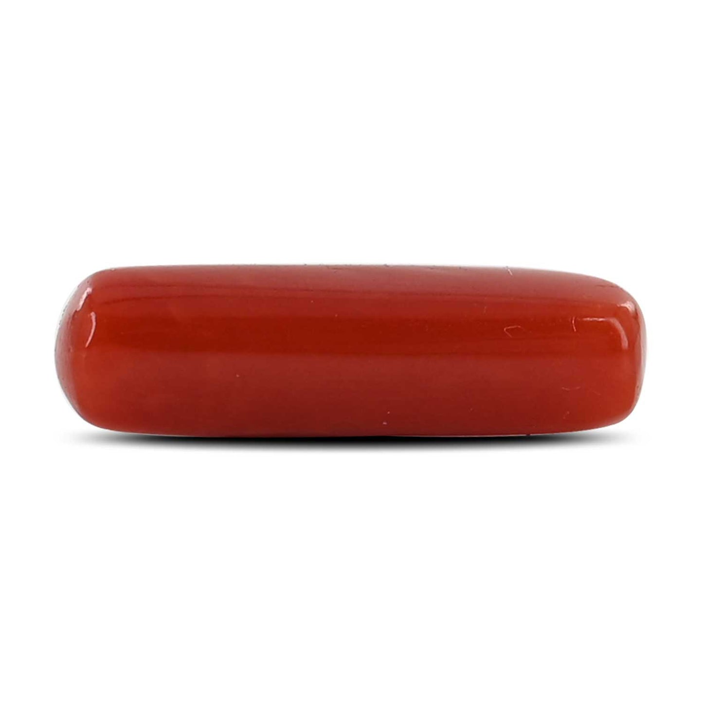 Red Coral (Moonga) - 4.36 Carat