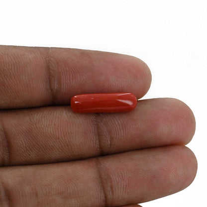 Red Coral (Moonga) - 4.36 Carat