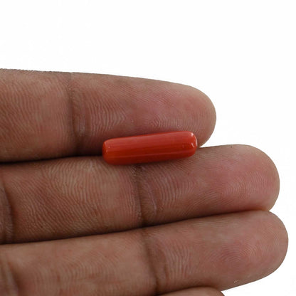 Red Coral (Moonga) - 4.36 Carat