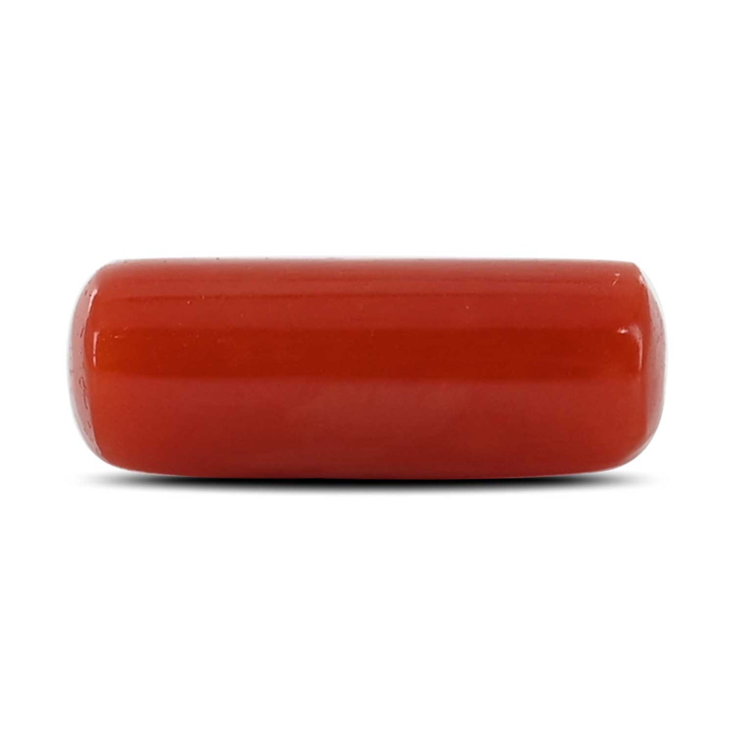 Red Coral (Moonga) - 4.36 Carat