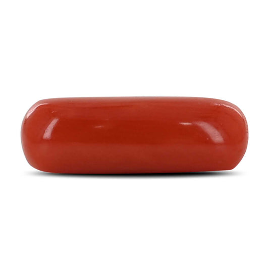 Red Coral (Moonga) - 3.68 Carat