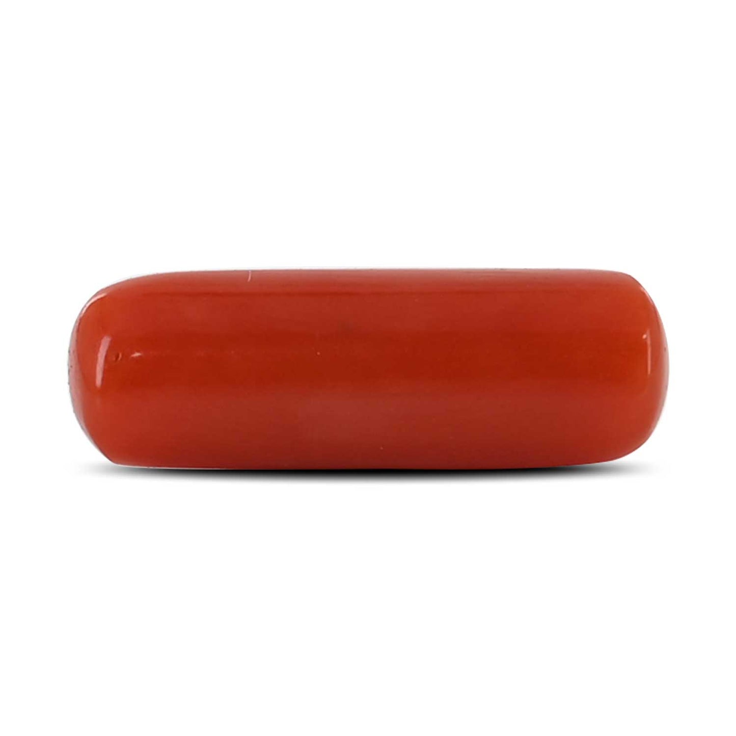 Red Coral (Moonga) - 3.68 Carat