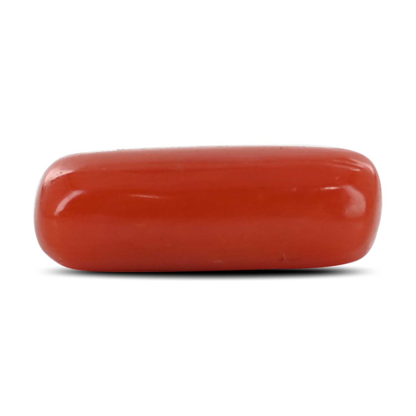 Red Coral (Moonga) - 4.05 Carat