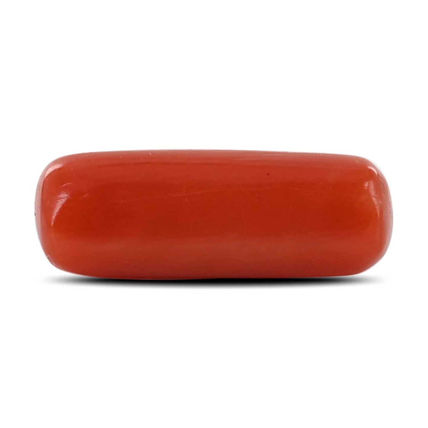 Red Coral (Moonga) - 4.05 Carat