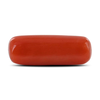 Red Coral (Moonga) - 4.05 Carat