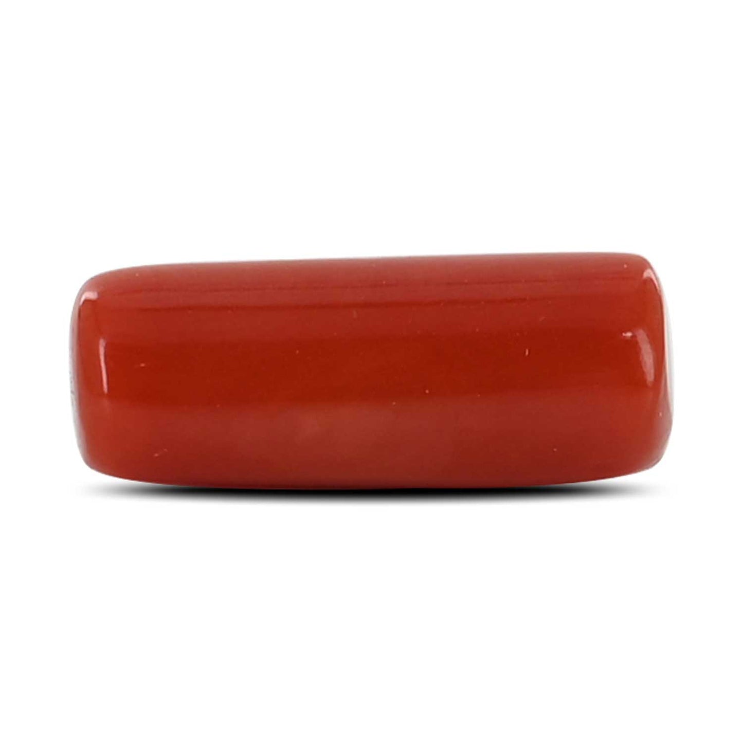 Red Coral (Moonga) - 4.3 Carat