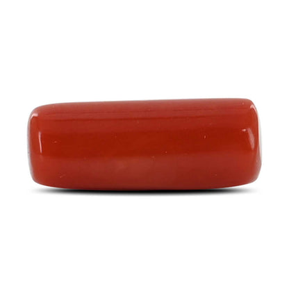 Red Coral (Moonga) - 4.3 Carat