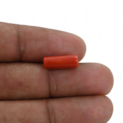 Red Coral (Moonga) - 4.3 Carat