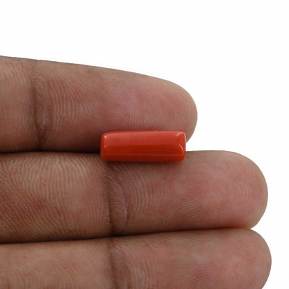 Red Coral (Moonga) - 4.3 Carat