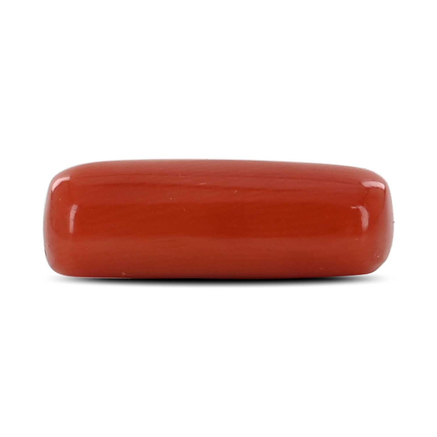 Red Coral (Moonga) - 4.45 Carat