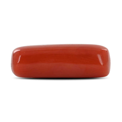 Red Coral (Moonga) - 4.45 Carat