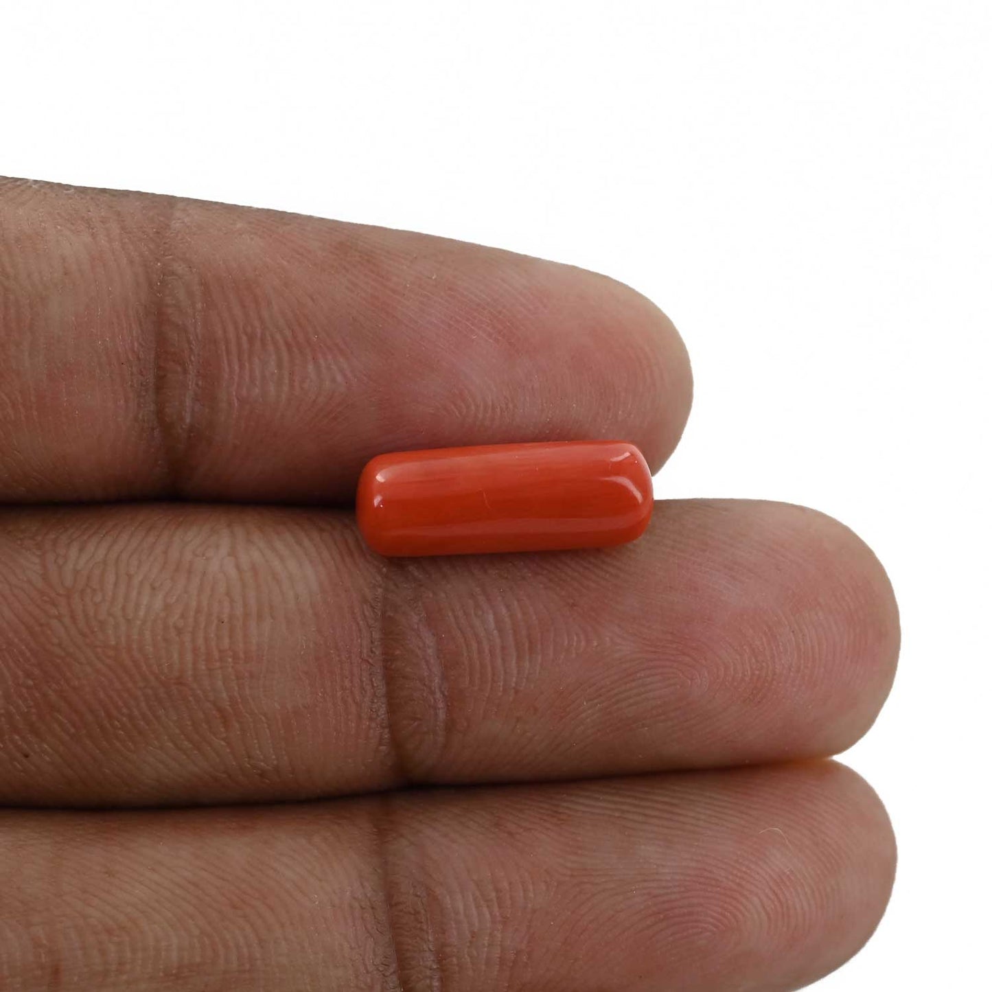 Red Coral (Moonga) - 4.45 Carat