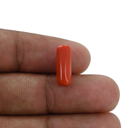 Red Coral (Moonga) - 4.45 Carat