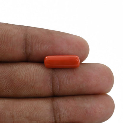 Red Coral (Moonga) - 4.45 Carat