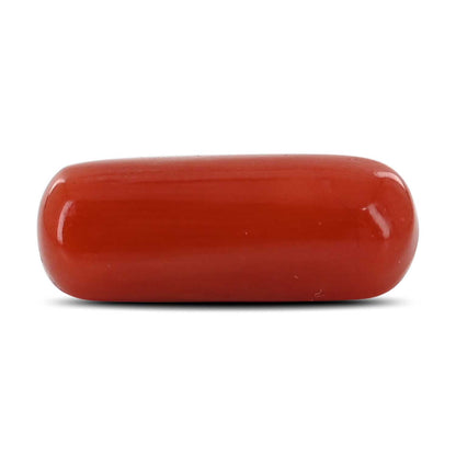 Red Coral (Moonga) - 3.91 Carat