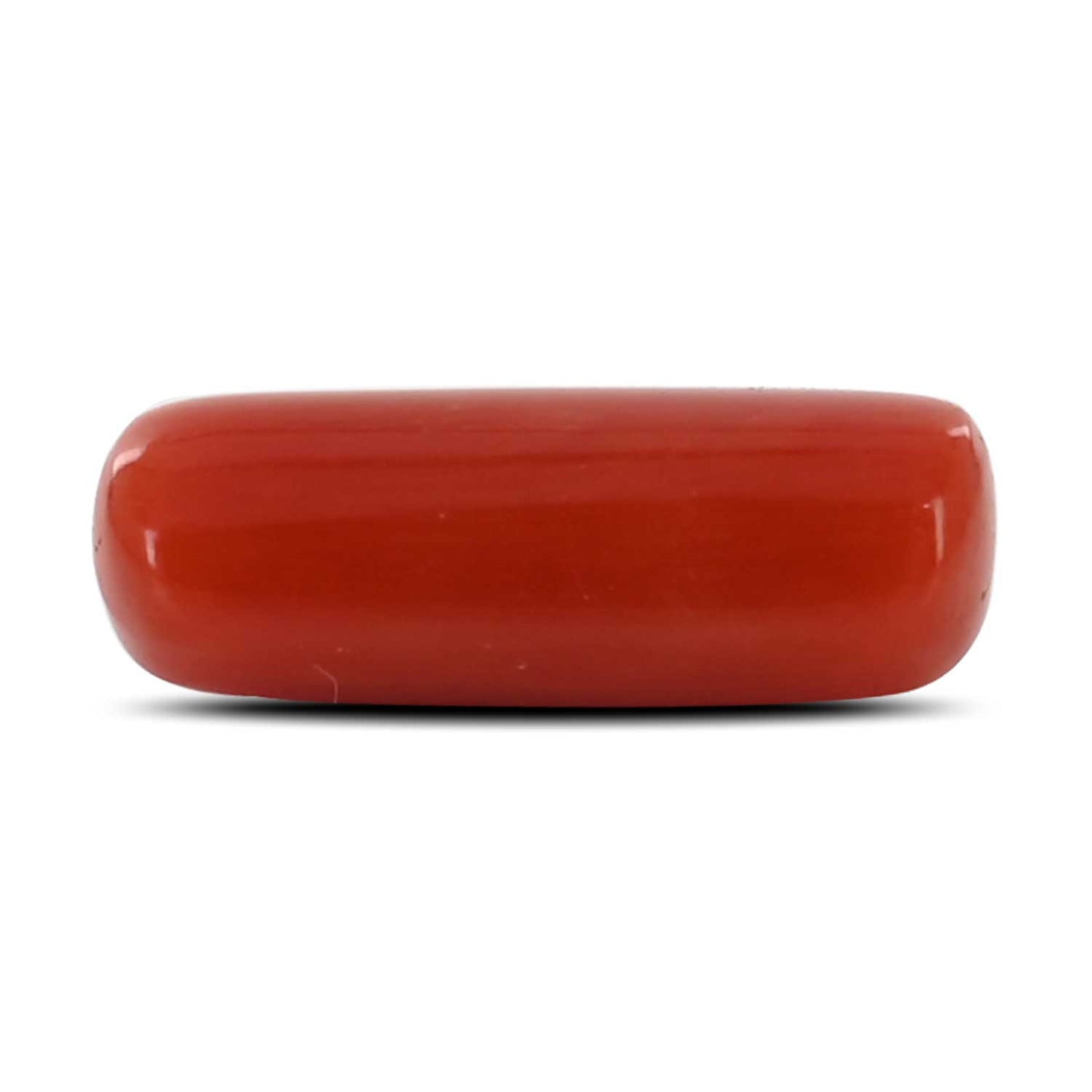Red Coral (Moonga) - 3.91 Carat