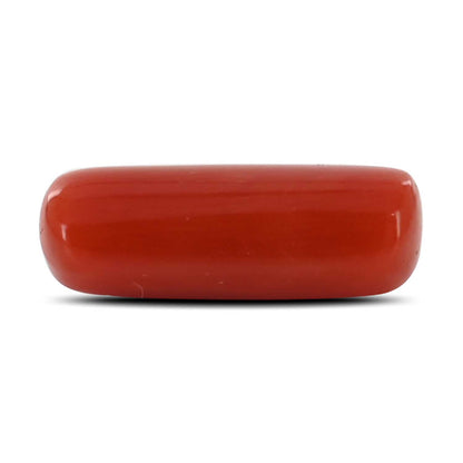 Red Coral (Moonga) - 3.91 Carat