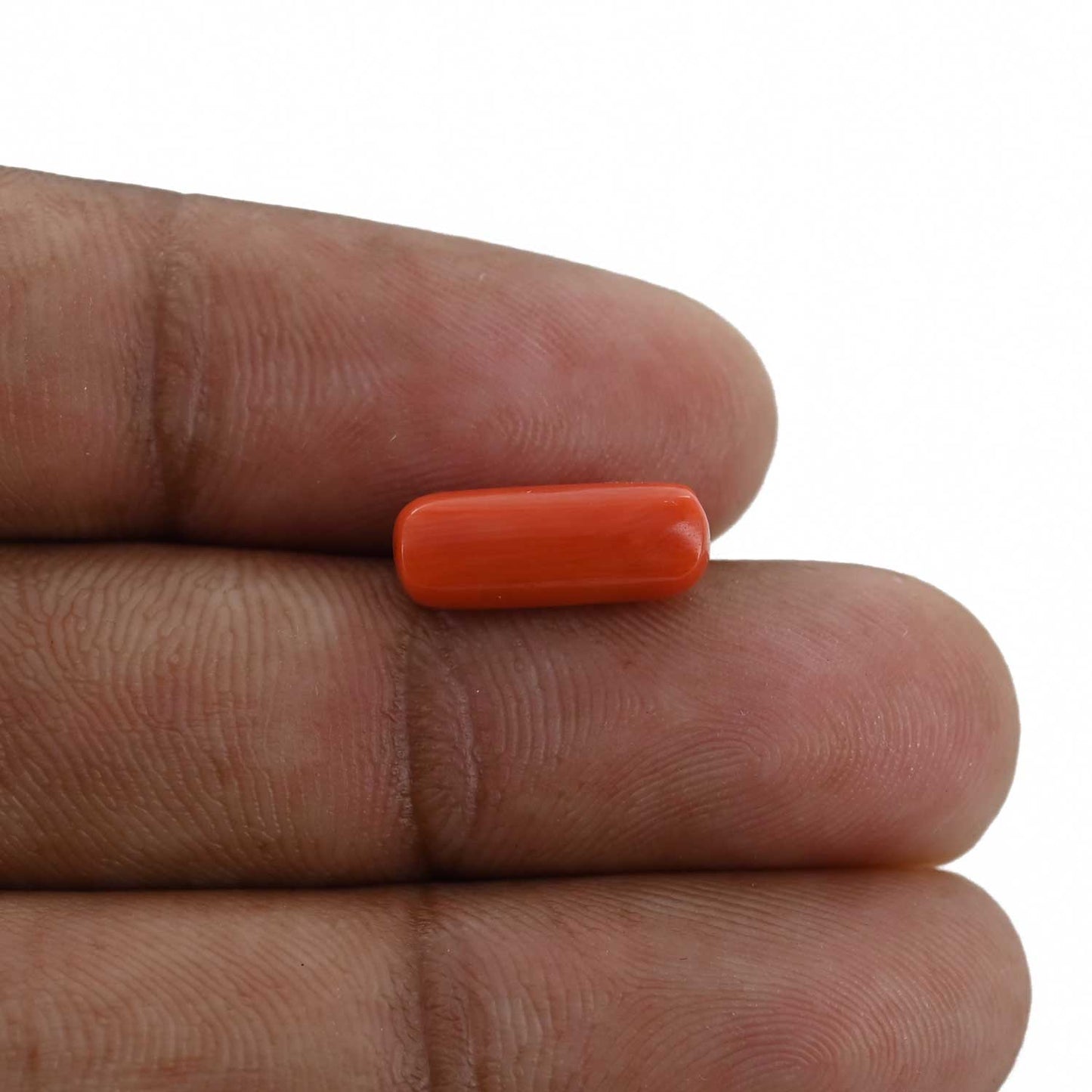 Red Coral (Moonga) - 3.68 Carat
