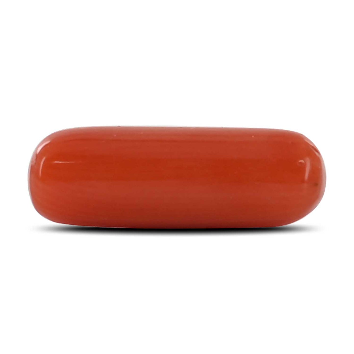 Red Coral (Moonga) - 4.23 Carat