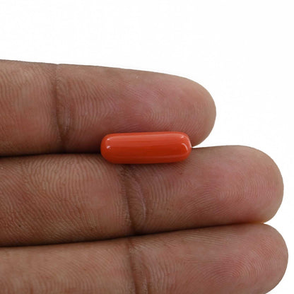 Red Coral (Moonga) - 4.23 Carat