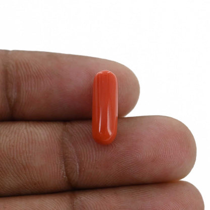 Red Coral (Moonga) - 4.23 Carat