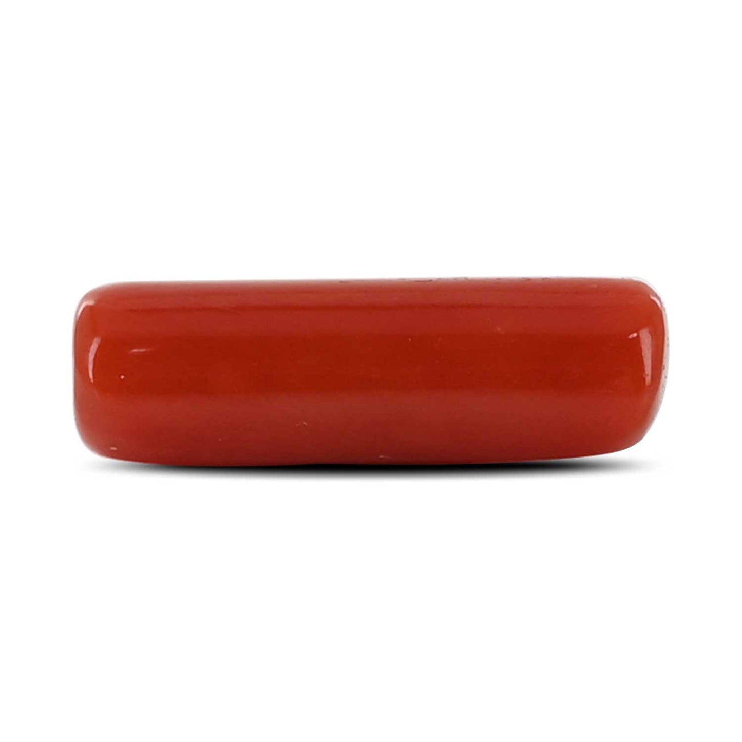 Red Coral (Moonga) - 4.14 Carat