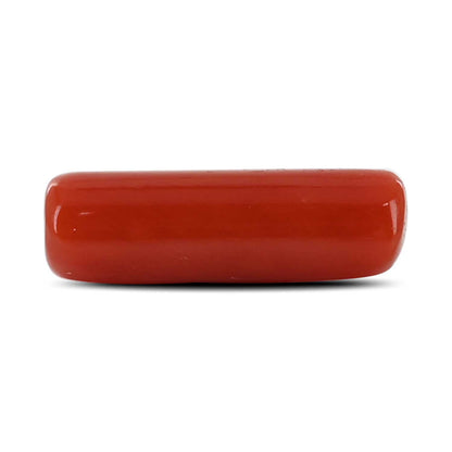 Red Coral (Moonga) - 4.14 Carat
