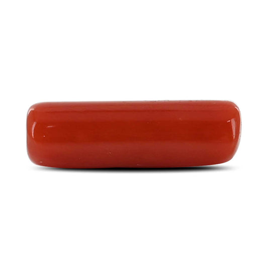 Red Coral (Moonga) - 4.14 Carat