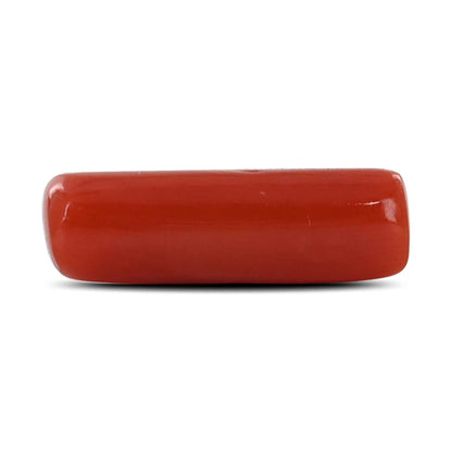 Red Coral (Moonga) - 4.14 Carat