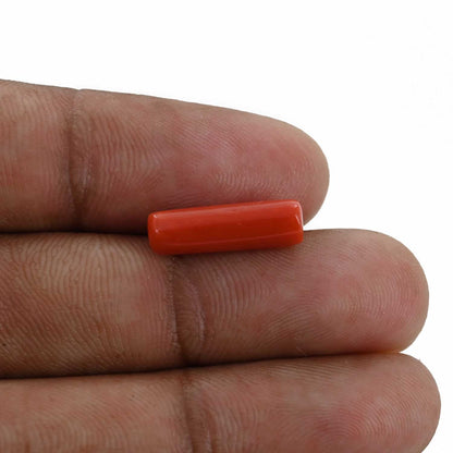 Red Coral (Moonga) - 4.14 Carat