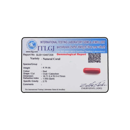 Red Coral (Moonga) - 4.14 Carat