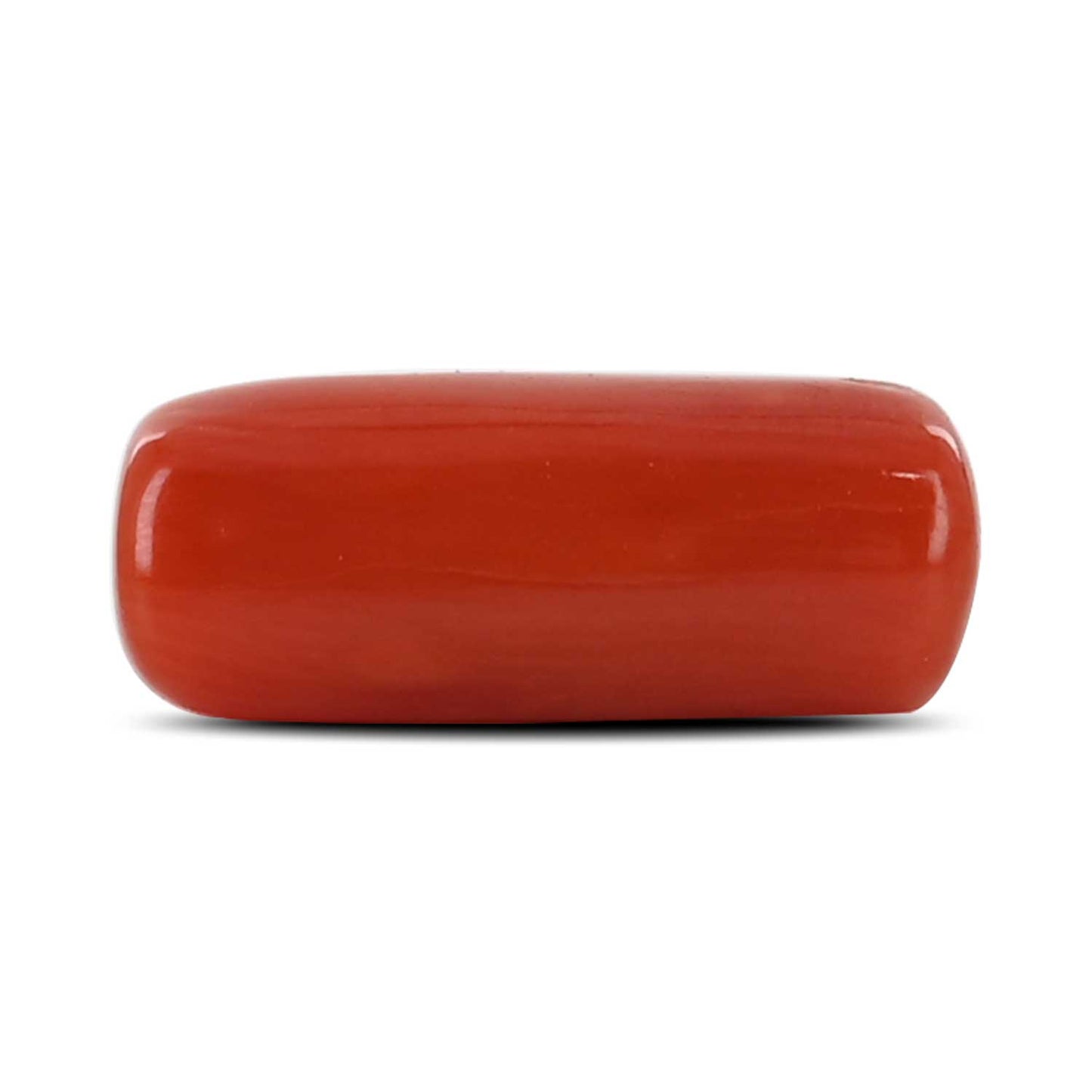 Red Coral (Moonga) - 4.41 Carat