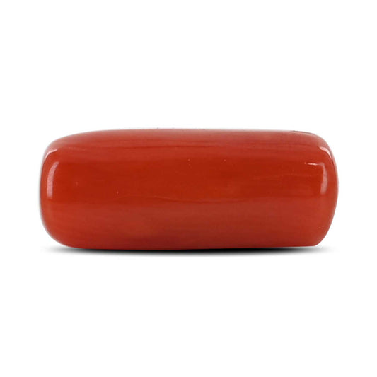 Red Coral (Moonga) - 4.41 Carat