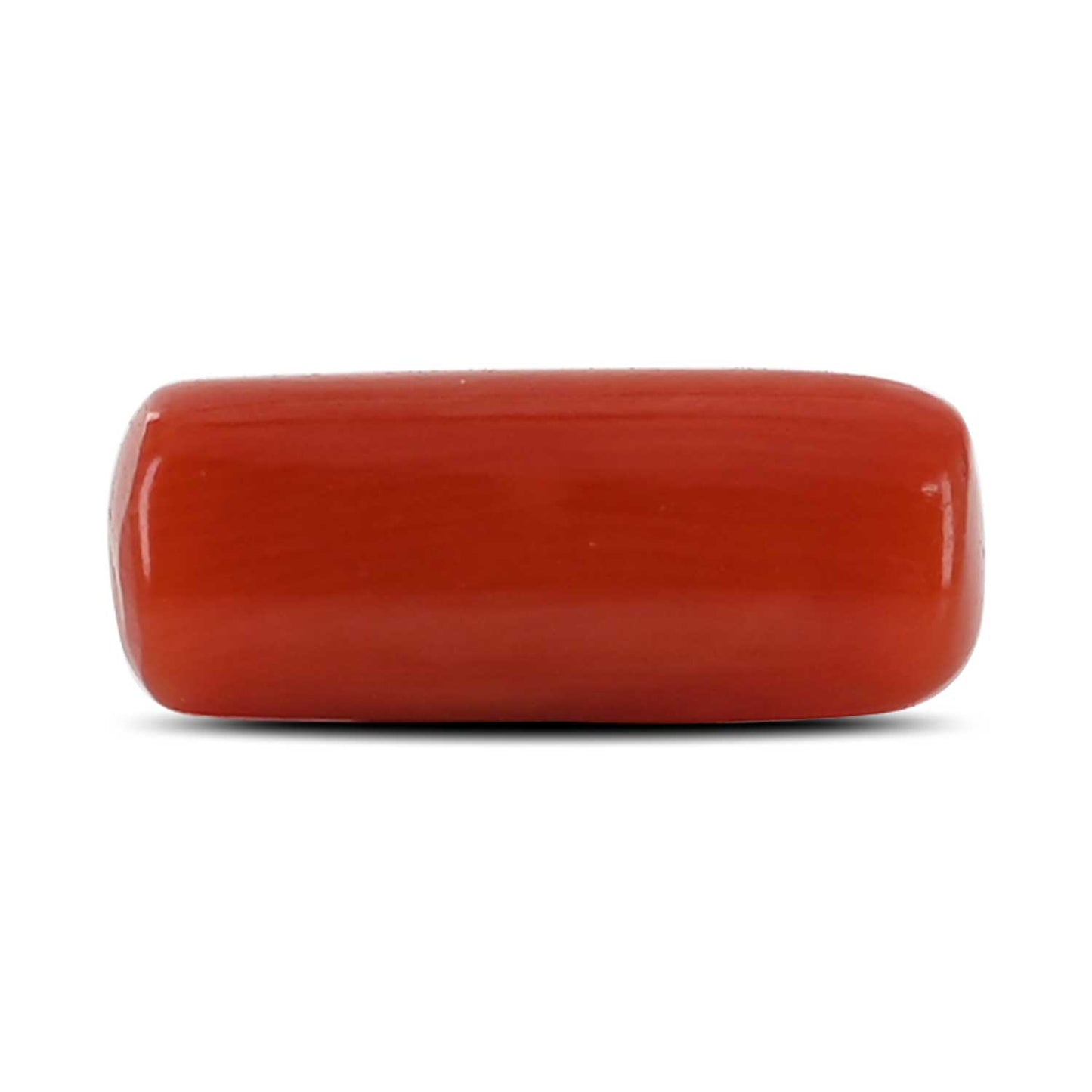 Red Coral (Moonga) - 4.41 Carat