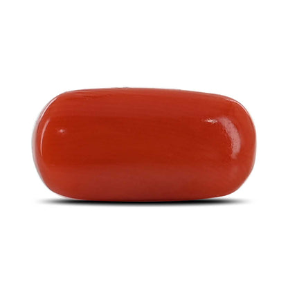 Red Coral (Moonga) - 4.28 Carat