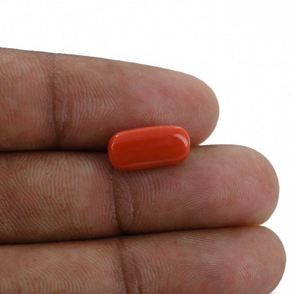 Red Coral (Moonga) - 4.28 Carat
