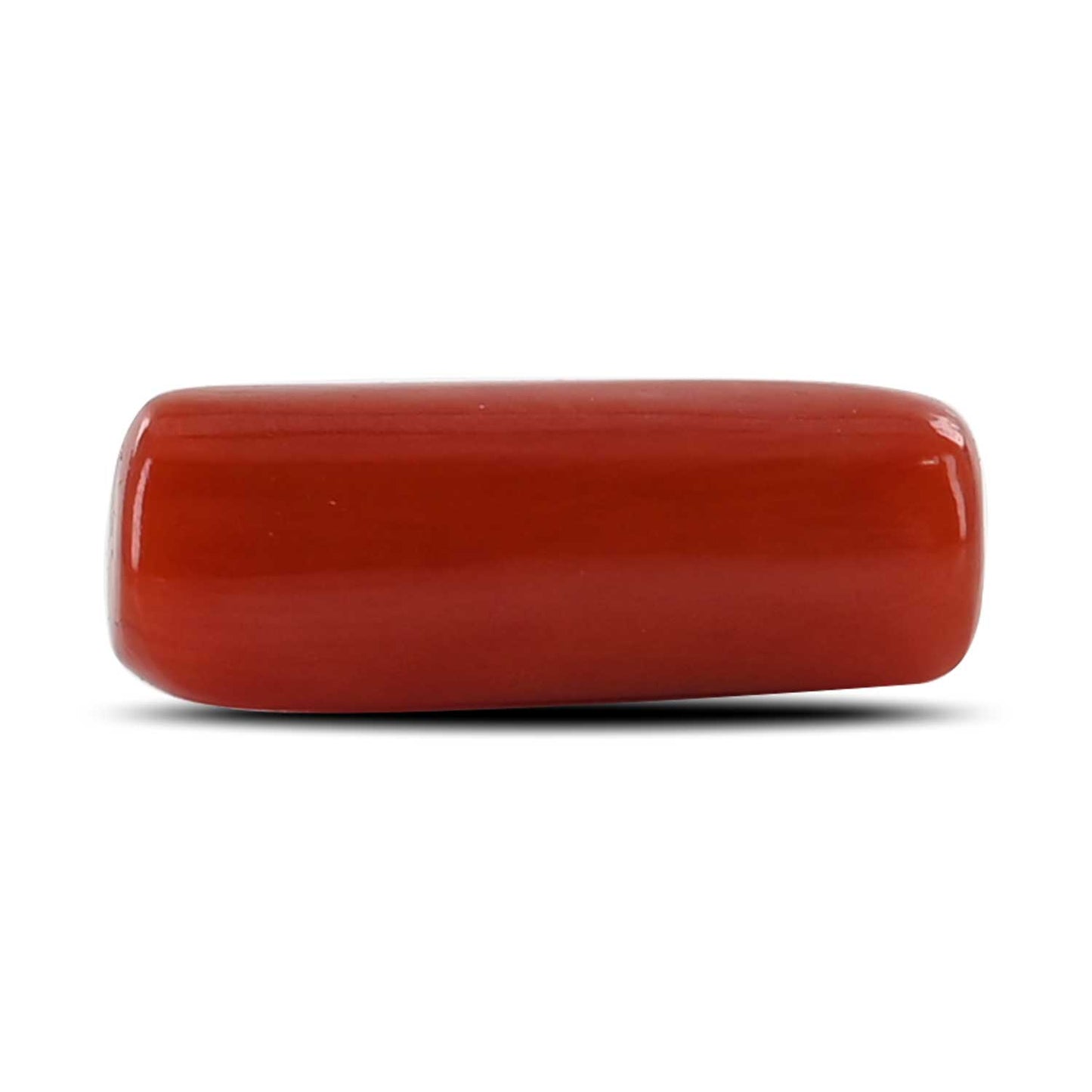 Red Coral (Moonga) - 4.18 Carat
