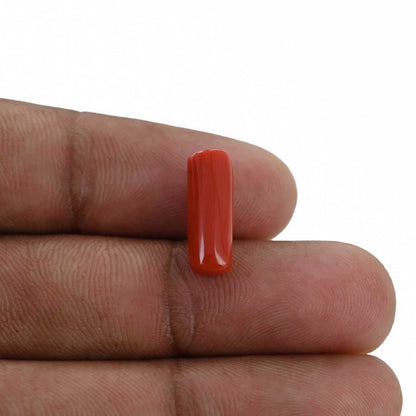 Red Coral (Moonga) - 4.18 Carat