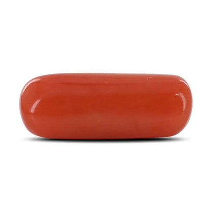 Red Coral (Moonga) - 4.05 Carat