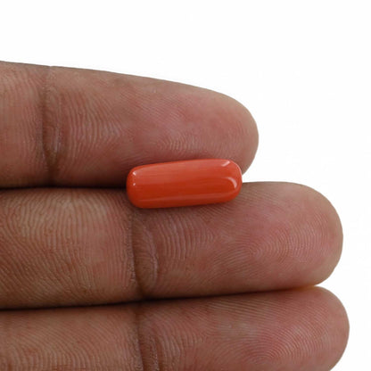 Red Coral (Moonga) - 4.05 Carat