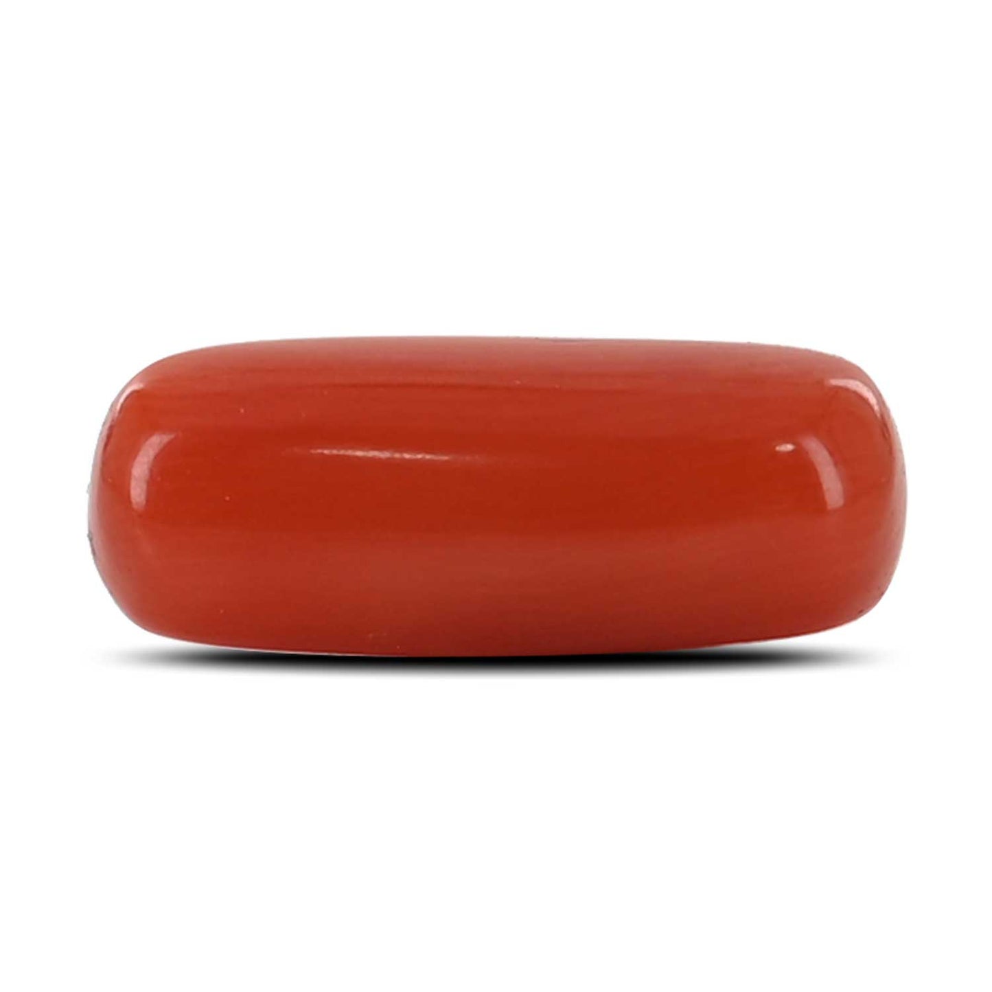 Red Coral (Moonga) - 4.48 Carat