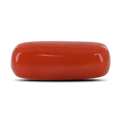 Red Coral (Moonga) - 4.48 Carat