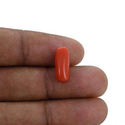 Red Coral (Moonga) - 4.48 Carat