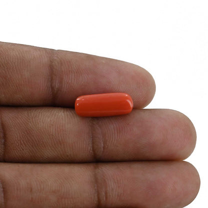 Red Coral (Moonga) - 4.48 Carat