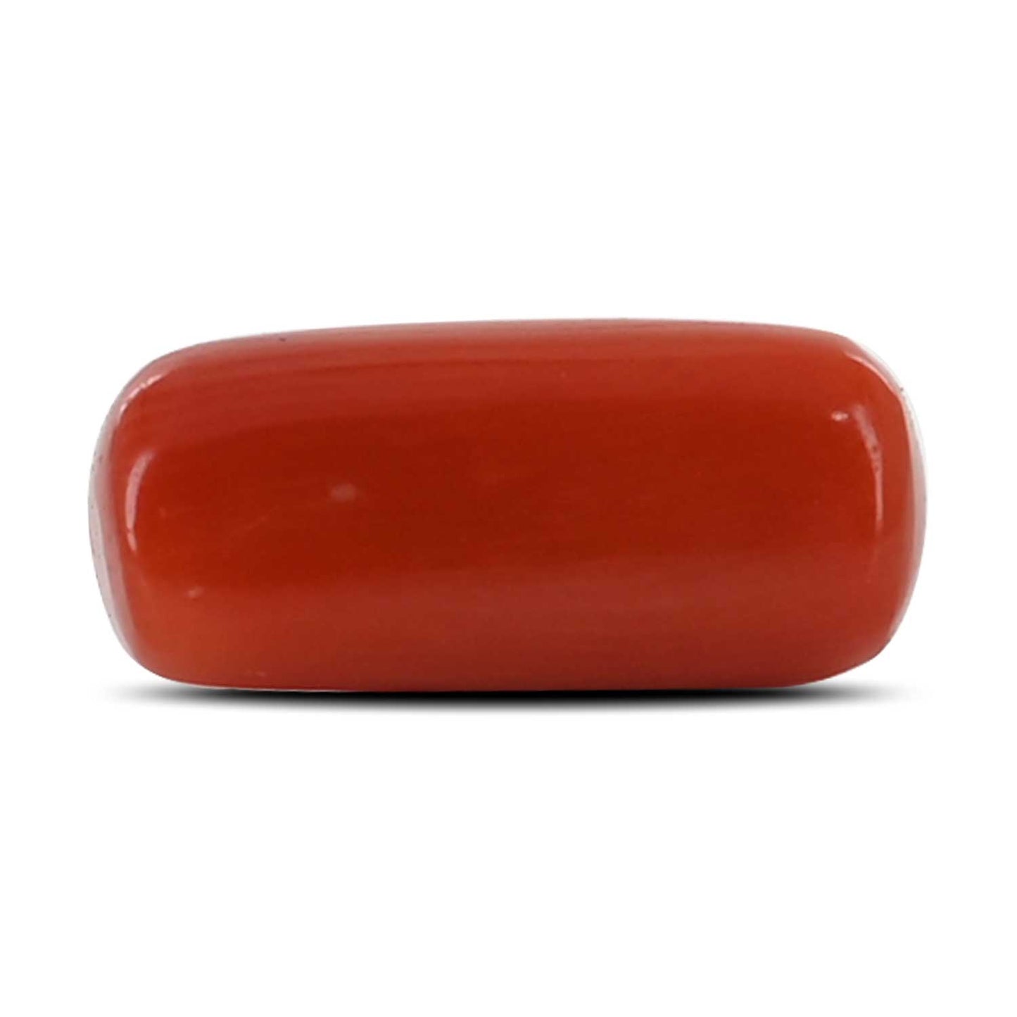 Red Coral (Moonga) - 4.31 Carat