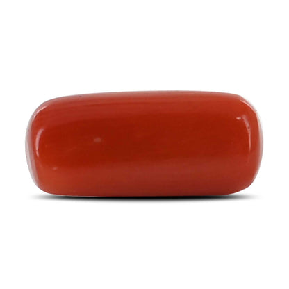 Red Coral (Moonga) - 4.31 Carat
