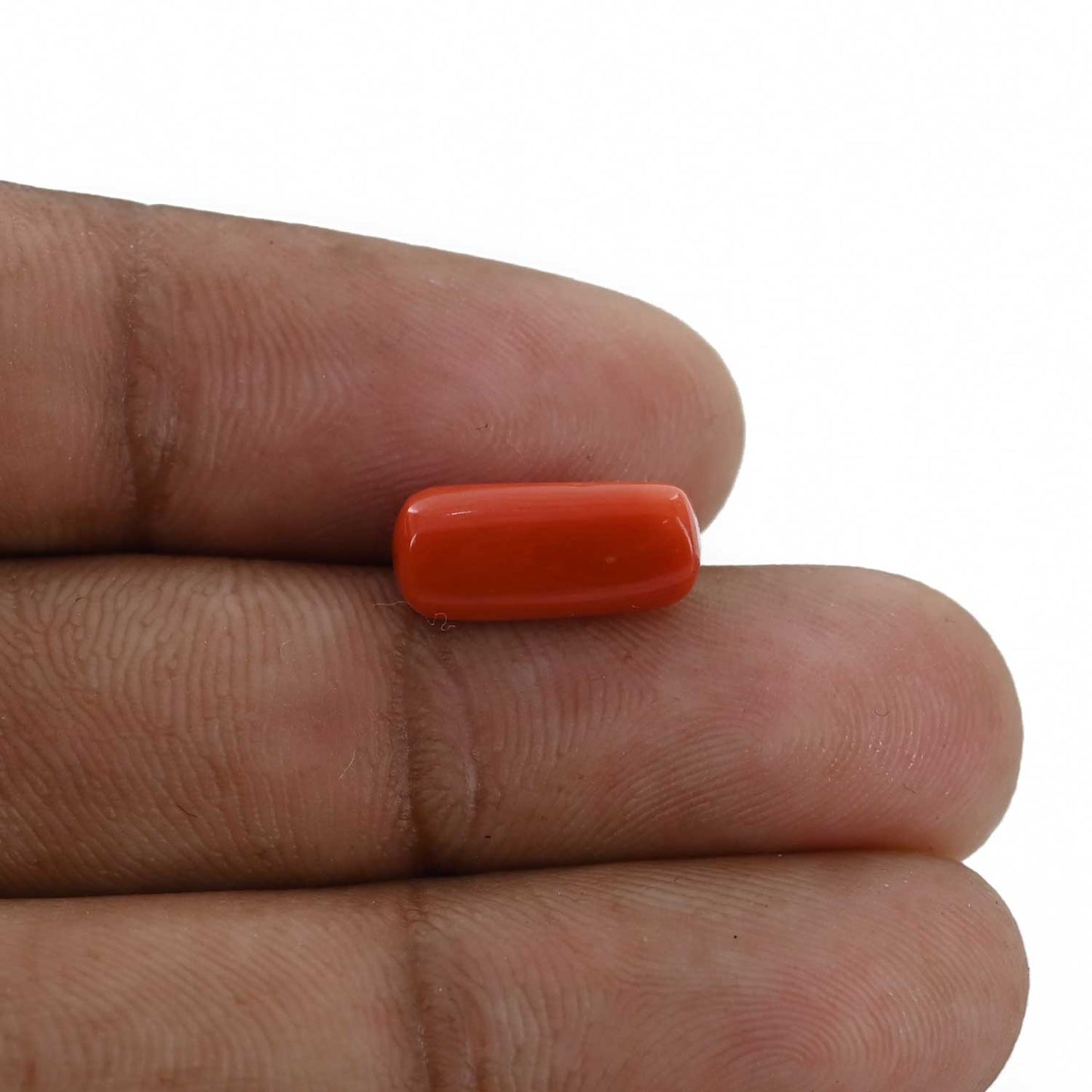 Red Coral (Moonga) - 4.31 Carat