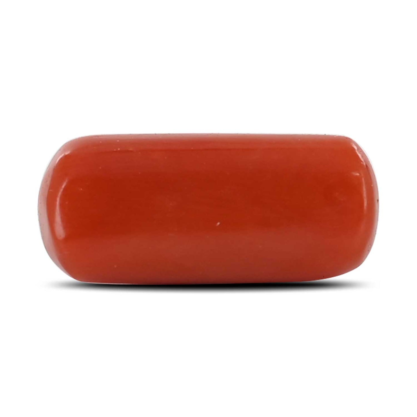 Red Coral (Moonga) - 4.17 Carat