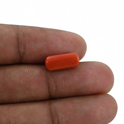 Red Coral (Moonga) - 4.17 Carat
